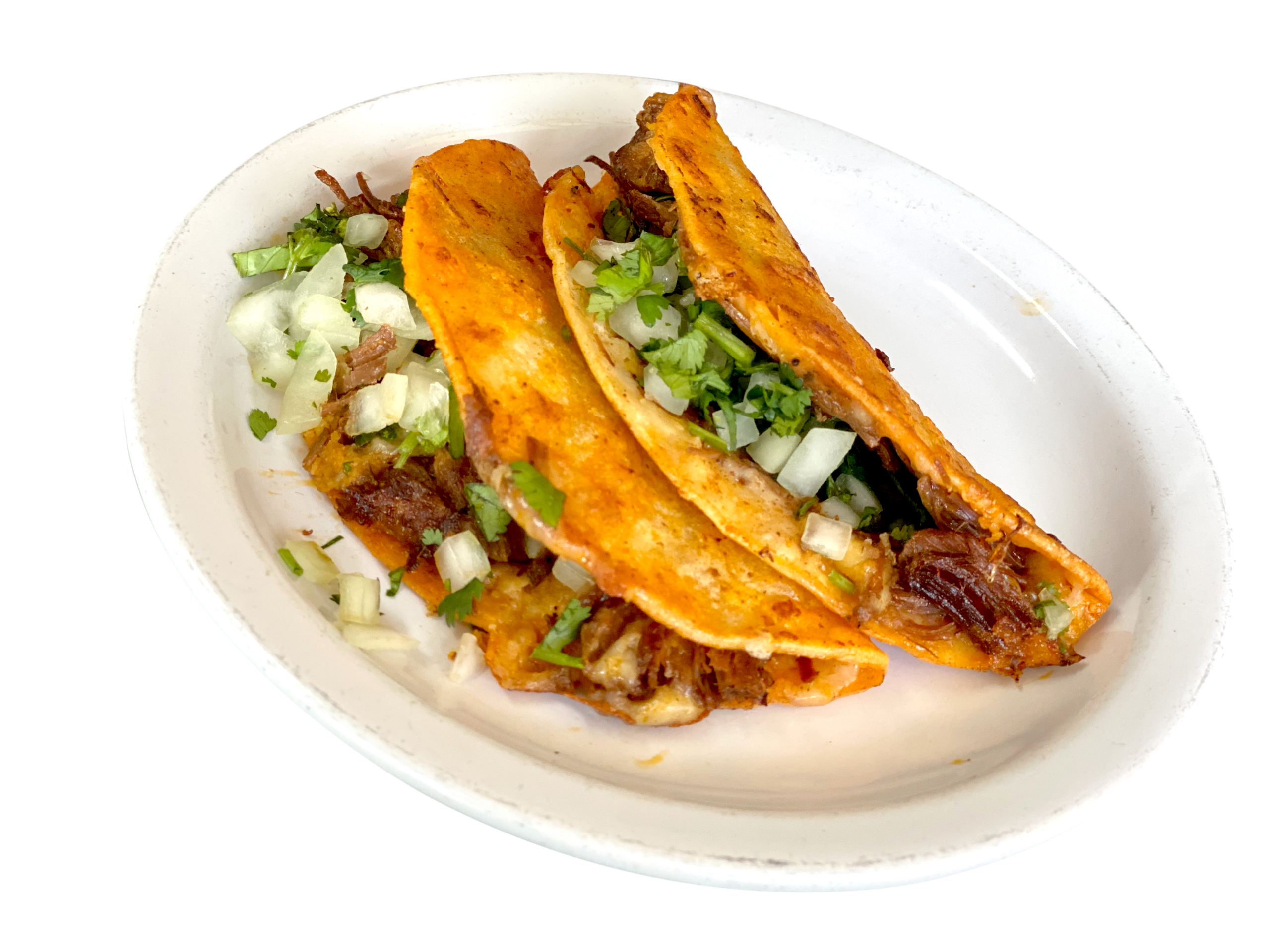 Crispy-birria-Cheese
